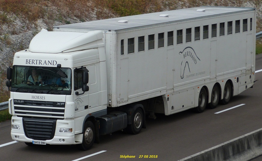 Transports de chevaux - Page 8 P1430817