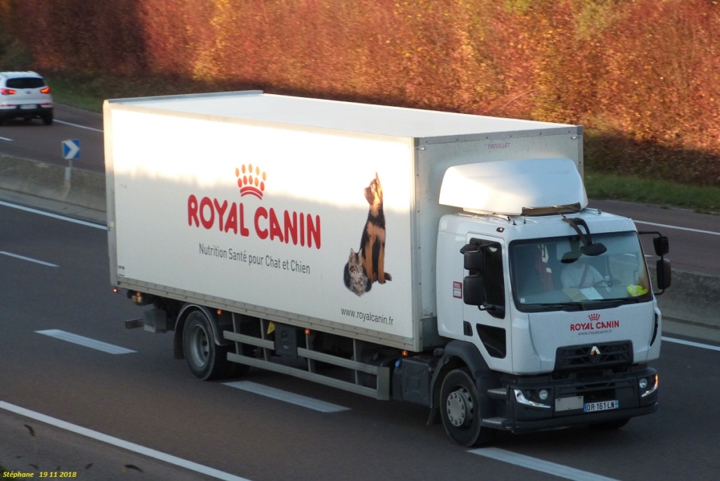 Royal Canin (60) P1440753