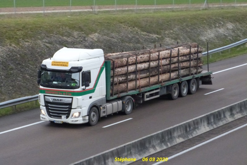 Transportes Sra Do O Lda (Porto) P1500756