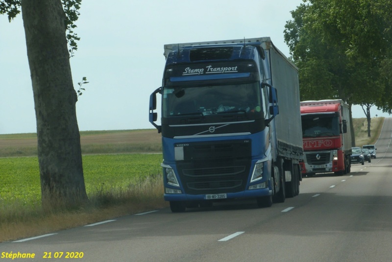 Stamp Transport Limited - Wexford P1520874