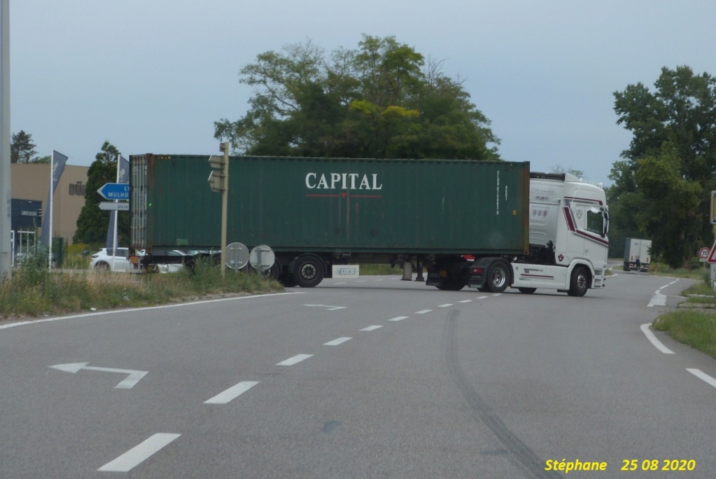 Scania blanc avec bandes grises et marron P1530461