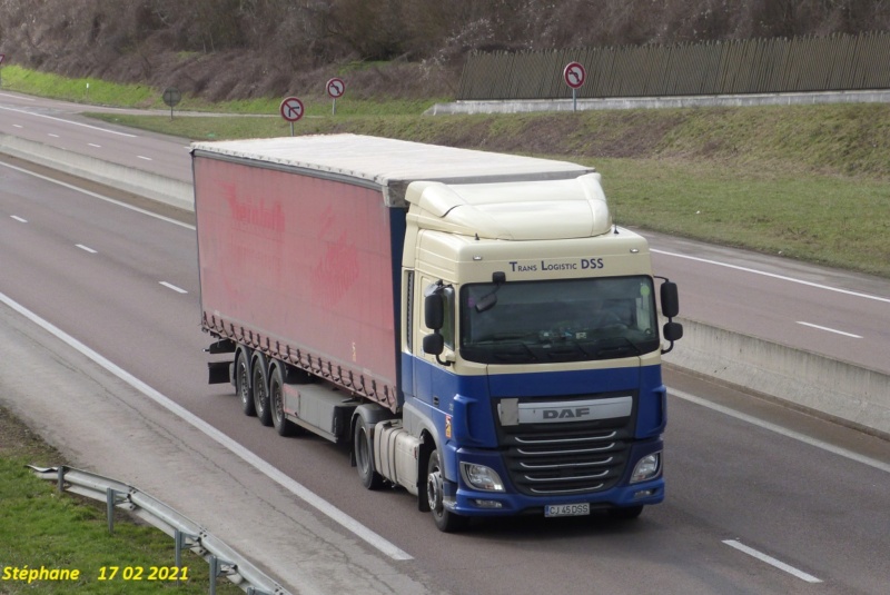 Trans Logistic DSS (Viseu de Sus) P1560173