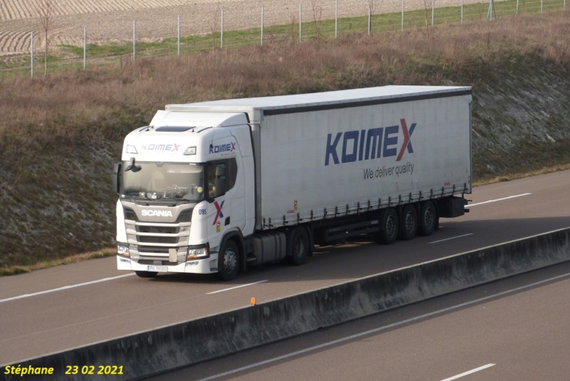 Koimex (Swiebodzin) - Page 3 P1560495