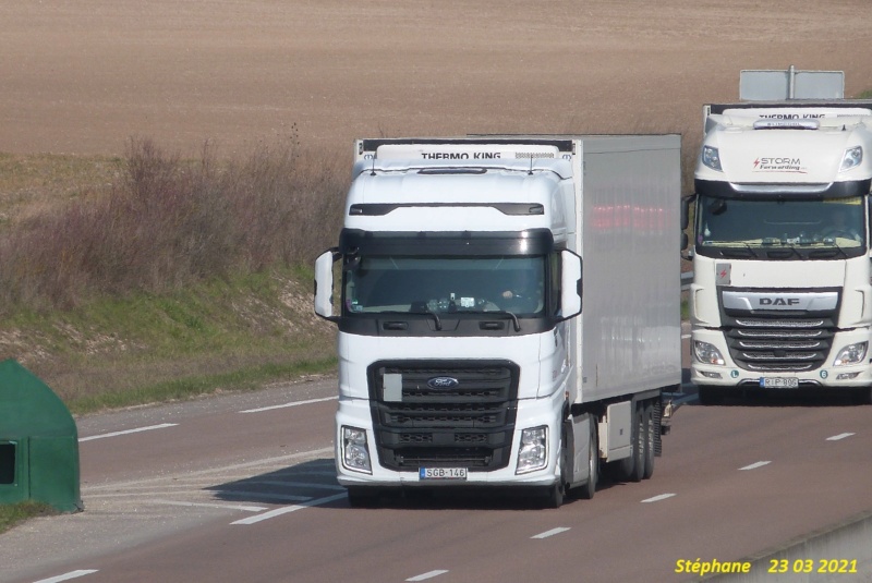  FORD F Max (camion de l'année 2019) (Turquie) P1560935