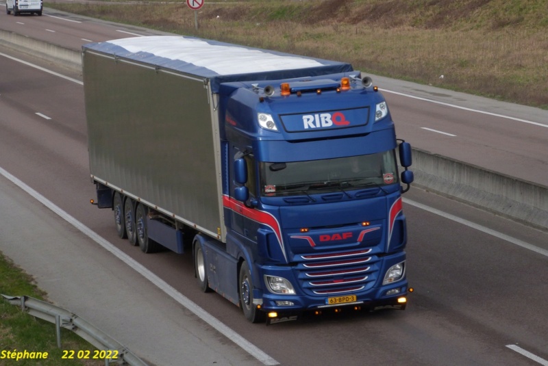 Ribo Transport (Haastrecht) P1620276