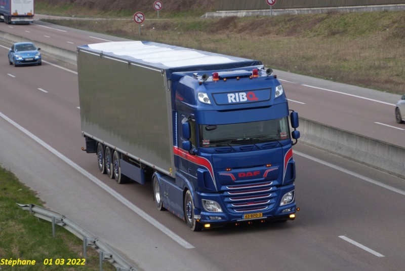 Ribo Transport (Haastrecht) P1620714