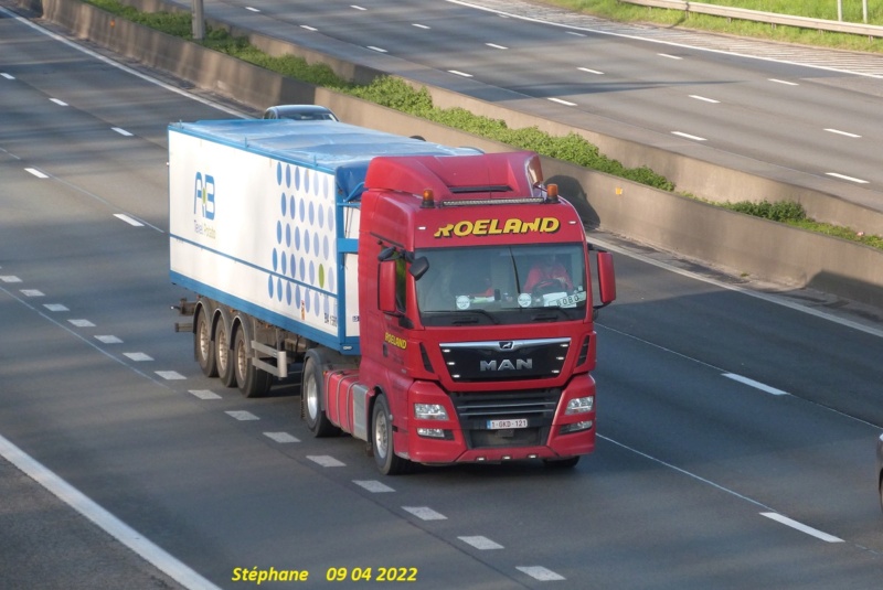 Roeland (Zottegem) P1630550