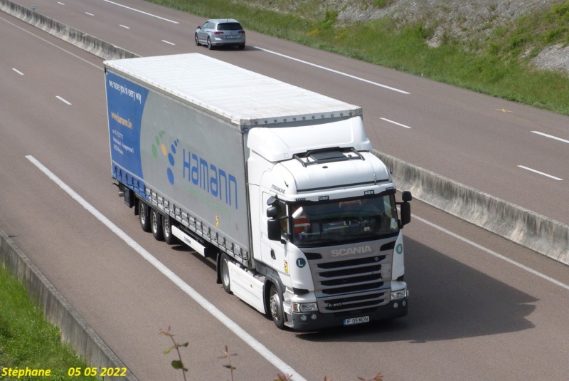 Hamann International Logistics (Wetteren) P1640272