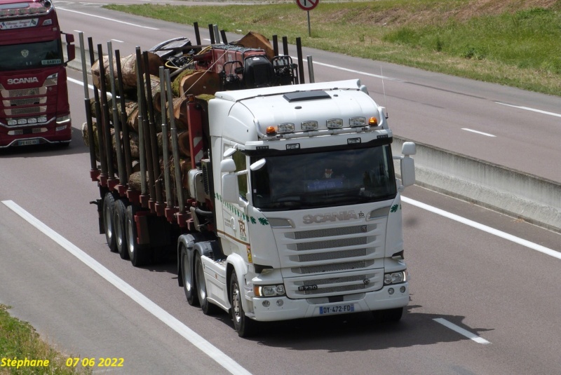 TFR (Transport Forestier Rattier) (St Léger sur Sarthe) (61) P1640449