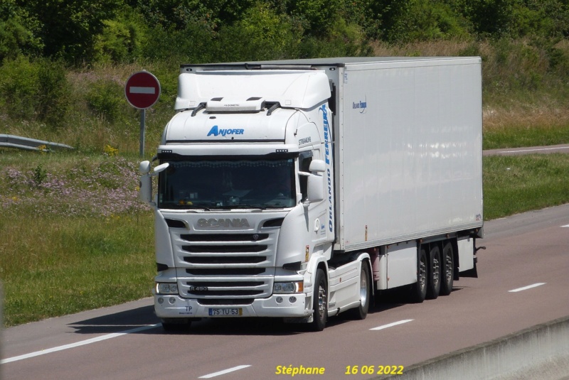 Transportes Anjofer Lda  (Marteleira) P1640841
