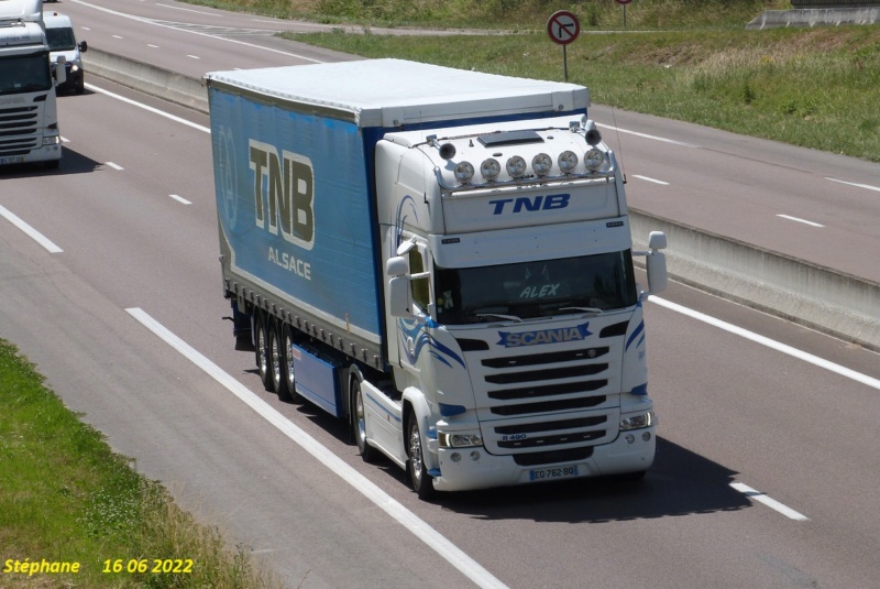TNB Alsace (Transports Nicolas Baecker)(Weislingen, 67) P1640964