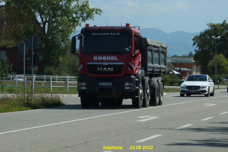 Knobel Bau (Hartheim) P1660459