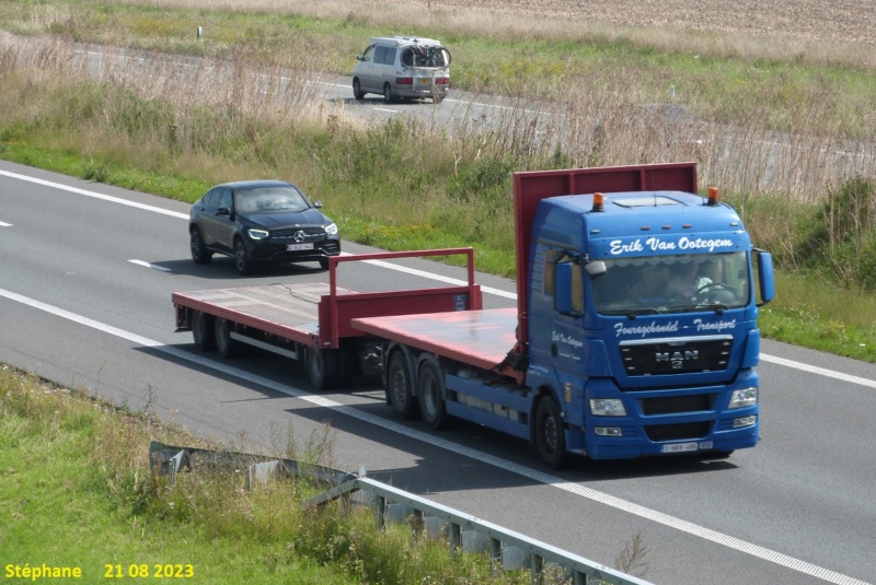 Erik Van Oodegem Fouragehandel Transport (Maldegem) P1680930