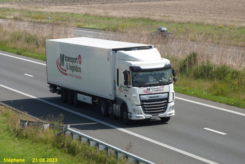 MC Transport & Logistics (Dendermonde) P1680988