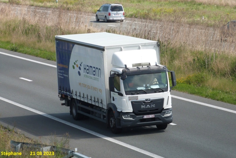 Hamann International Logistics (Wetteren) P1690035