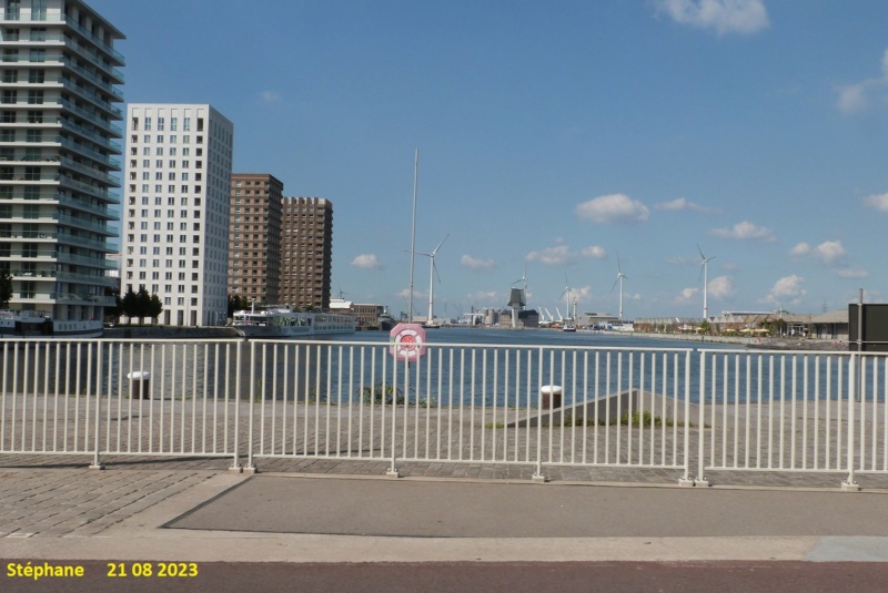 Promenade dans le port d'Anvers  P1690078