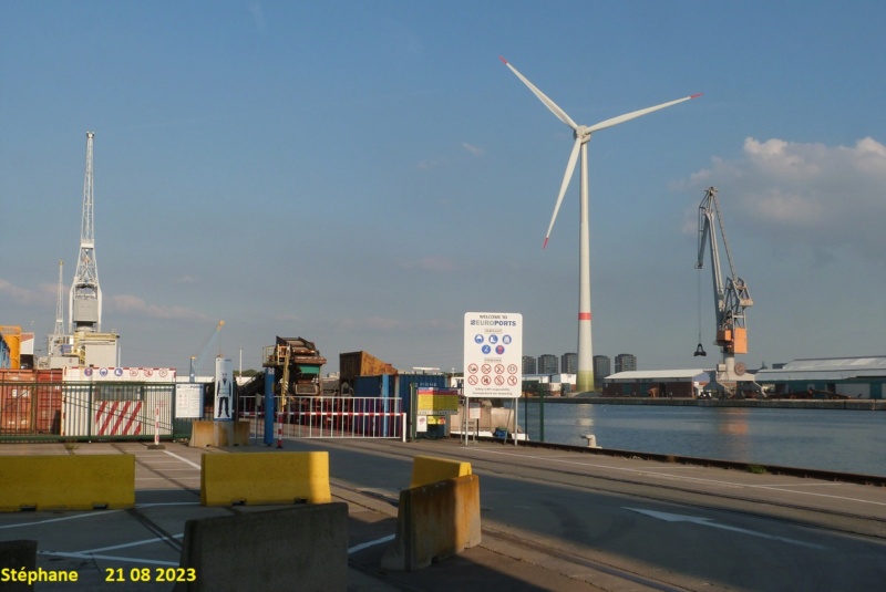 Promenade dans le port d'Anvers  P1690230
