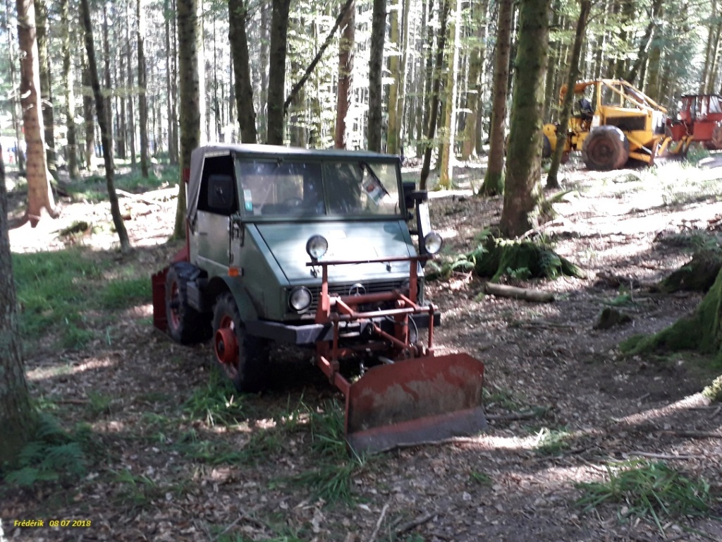 Mercedes forestier Receiv21