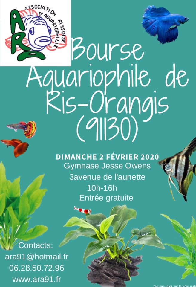Bourse de ris orangis 02/02/2020 A473f210