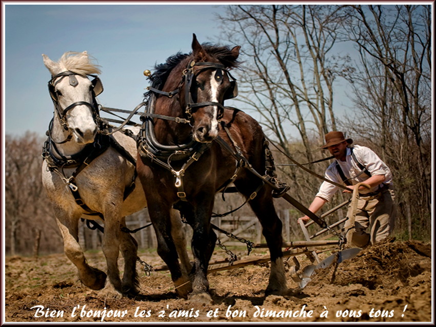 Les bonjours et contacts jounaliers du Mois de Février 2019 17021910