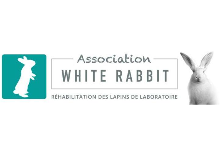 Association White Rabbit - Réhabilitation des lapins de laboratoire - Page 7 Photo107