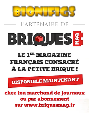 Affiches Briques Mag