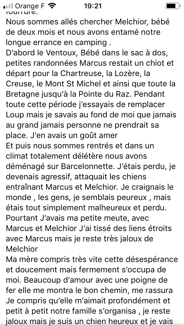 Igor, mâle LOF né en 2013 (décès de leur maitresse) 448a0c10