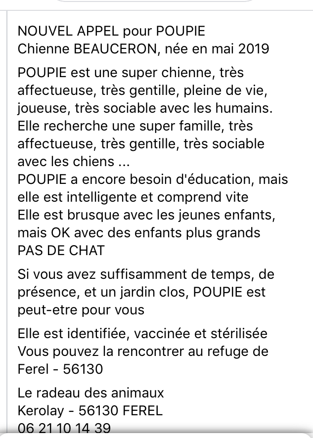 Poupie femelle beauceronne née en mai 2019 E10d2910