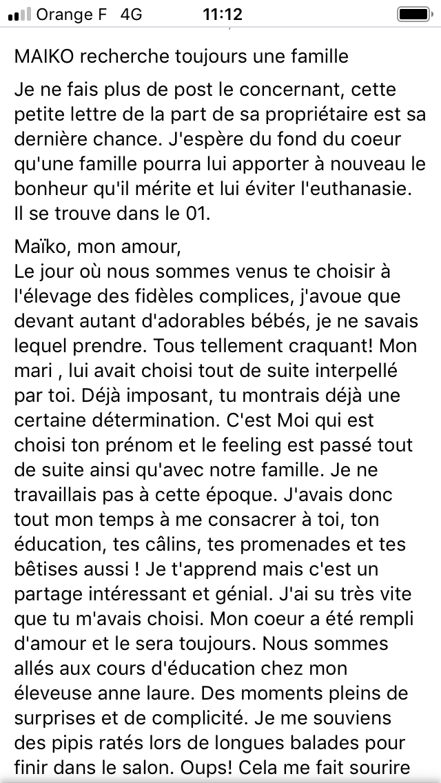 urgence euthanasie Maïko des fidèles complices beauceron LOF né en 2016 urgence euthanasie E3fafa10