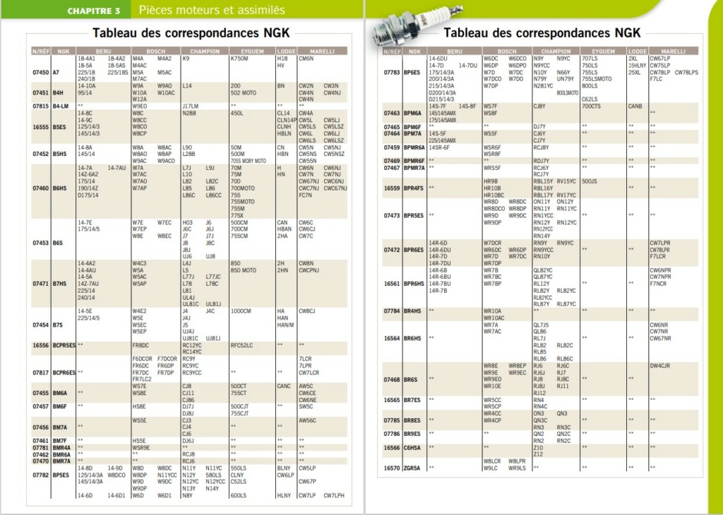 ( Recherche ) Remplacement moteur Sachs PPMS Equiva10