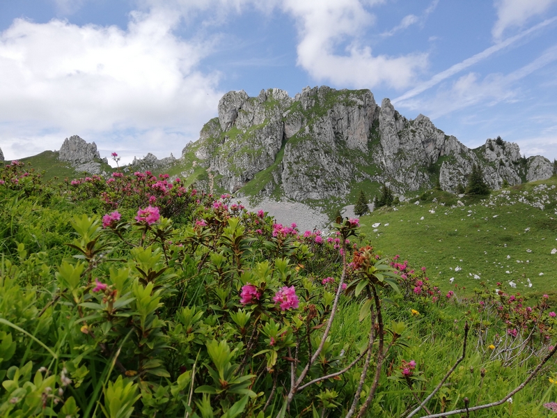 Randonnées en Pays Chablais Img_2029