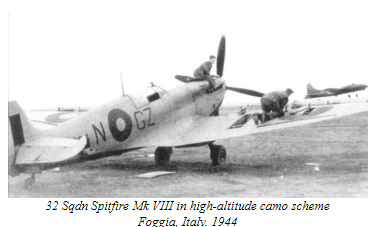Spitfire Mk.VIII RAF Mk_vii10