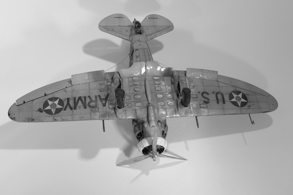 Seversky puis Republic P-35 de William Bros Inc au 1/32 P1080510