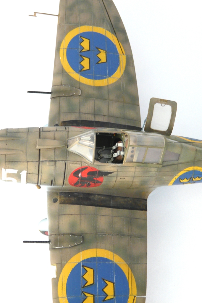 Seversky puis Republic P-35 de William Bros Inc au 1/32 - Page 3 P1080518