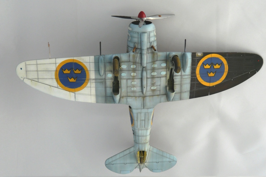 Seversky puis Republic P-35 de William Bros Inc au 1/32 - Page 3 P1080628