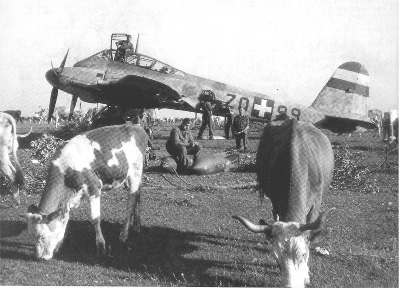 Messerschmitt Me 210 C au 1/32 - Page 2 Vaches10