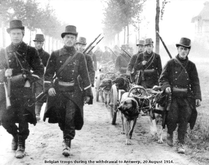Belgium Army 1830-1914 - Page 2 Belgia22