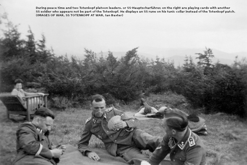 Allgemeine and Waffen SS - Page 5 During15
