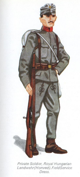 Austro-Hungarian Army 1910s - Page 3 Privat81