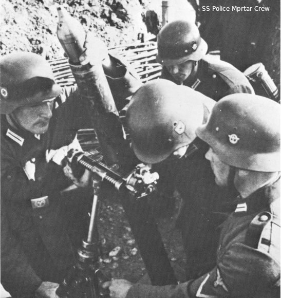 Allgemeine and Waffen SS - Page 6 Ss_pol10