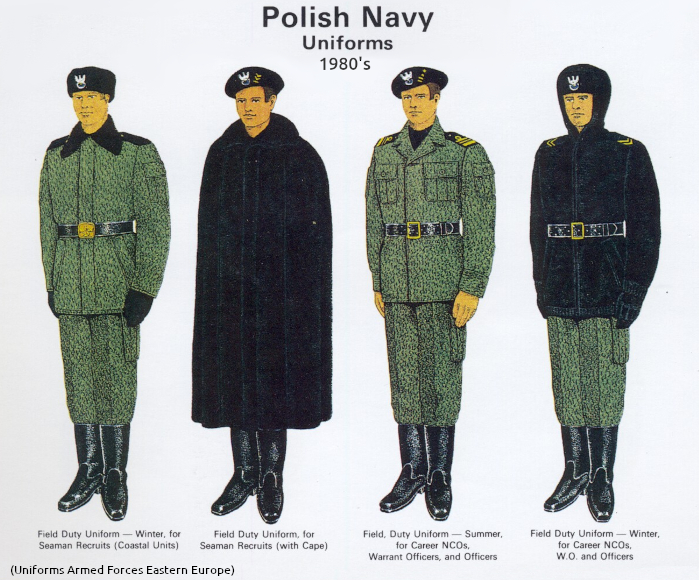 Polish Uniforms Warsaw Pact - Page 2 Unifo481