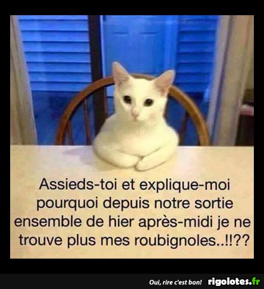HUMOUR - Page 38 20170210