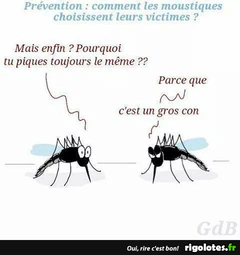 HUMOUR - Page 19 20170213