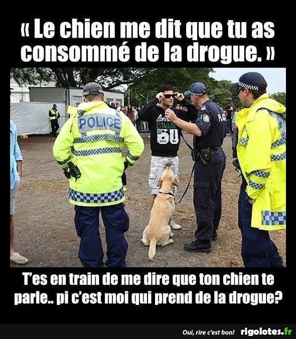humour - Page 30 20170529