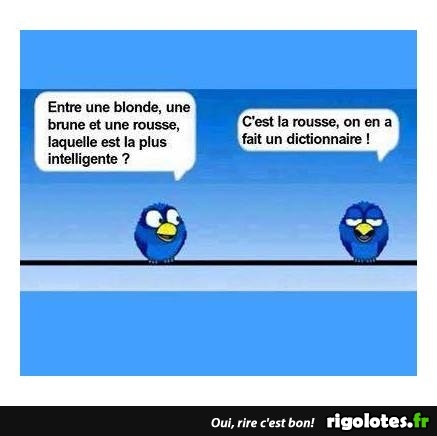 HUMOUR - Page 16 20170720