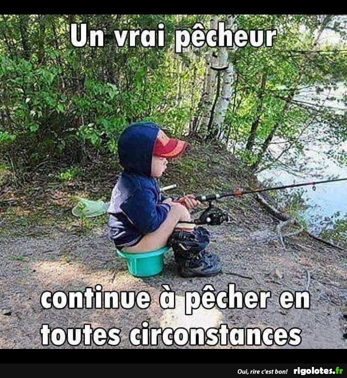 HUMOUR - Page 25 20170912