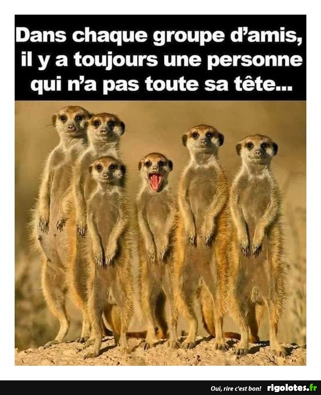 HUMOUR - Page 25 20171012