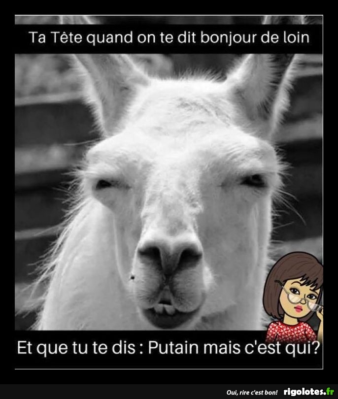 HUMOUR - Page 12 20171027