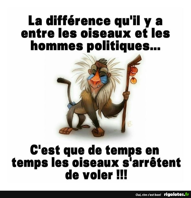 HUMOUR - Page 22 20180146