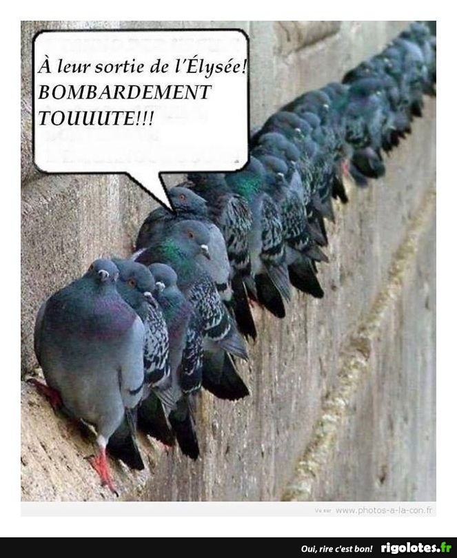 humour - Page 30 20180191